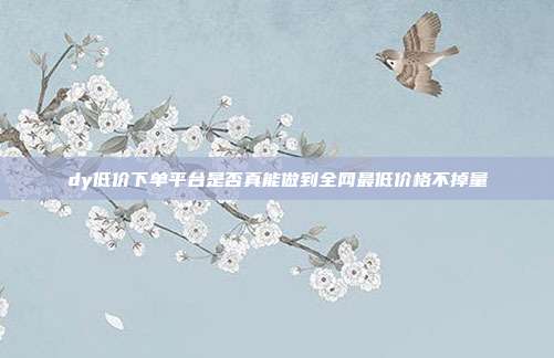 dy低价下单平台是否真能做到全网最低价格不掉量