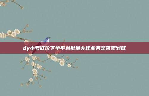 dy小号低价下单平台批量办理业务是否更划算