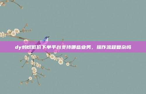 dy蚂蚁低价下单平台支持哪些业务，操作流程复杂吗