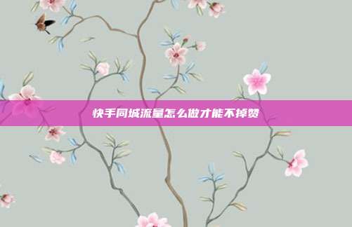 快手同城流量怎么做才能不掉赞