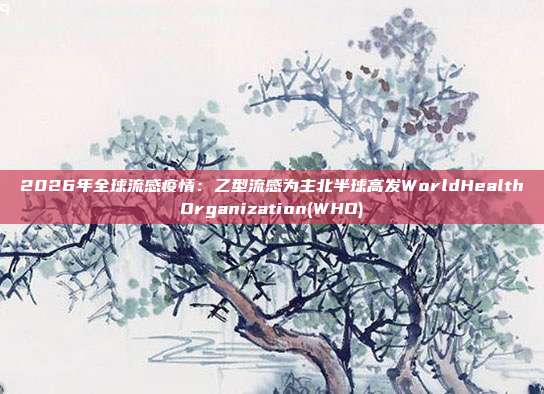 2026年全球流感疫情：乙型流感为主北半球高发WorldHealthOrganization(WHO)