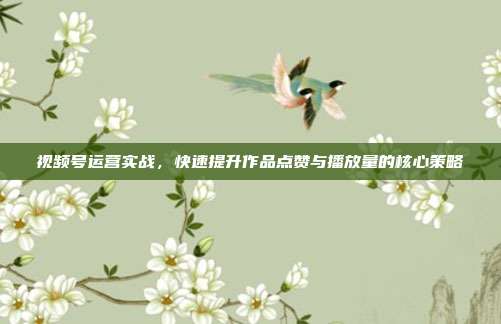 视频号运营实战，快速提升作品点赞与播放量的核心策略