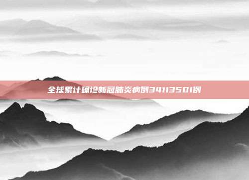 全球累计确诊新冠肺炎病例34113501例