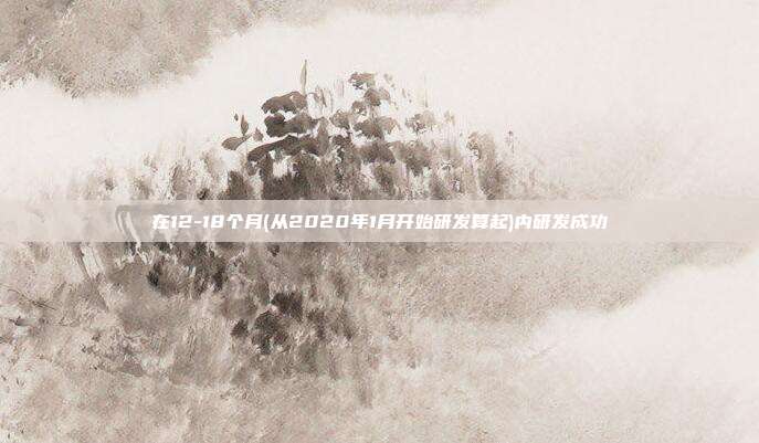 在12-18个月(从2020年1月开始研发算起)内研发成功