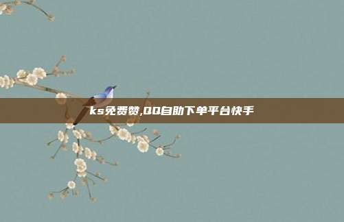 ks免费赞,QQ自助下单平台快手