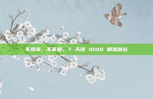 不投流、不买粉,7 天涨 1000 精准粉丝