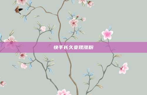 快手长久变现涨粉