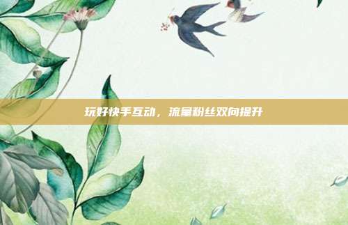 玩好快手互动，流量粉丝双向提升