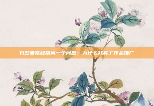 有些老铁经常问一个问题：为什么我买了作品推广