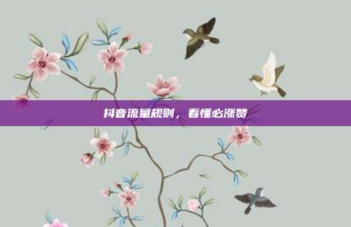 抖音流量规则，看懂必涨赞