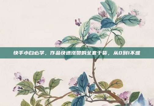 快手小白必学，作品快速涨赞的全套干货，从0到1不难