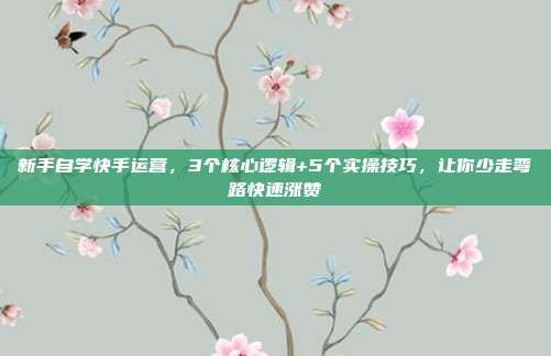 新手自学快手运营，3个核心逻辑+5个实操技巧，让你少走弯路快速涨赞