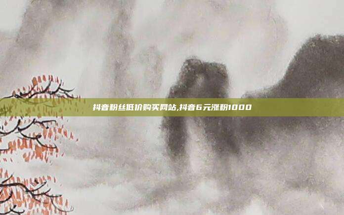 抖音粉丝低价购买网站,抖音6元涨粉1000