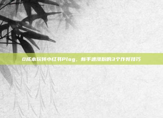 0成本玩转小红书Plog,新手速涨粉的3个作弊技巧