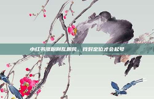 小红书涨粉别乱跟风，找对定位才会起号
