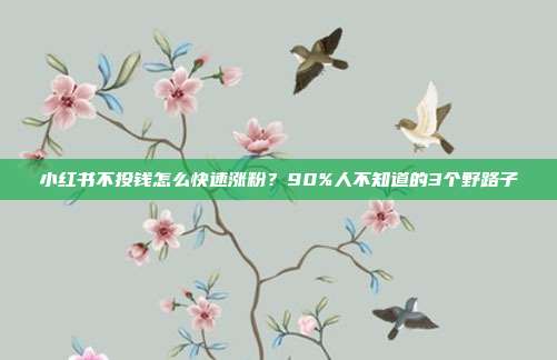 小红书不投钱怎么快速涨粉?90%人不知道的3个野路子