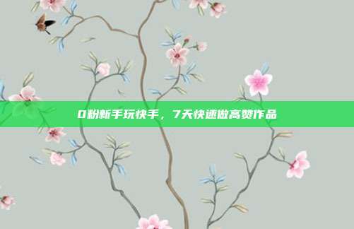 0粉新手玩快手,7天快速做高赞作品
