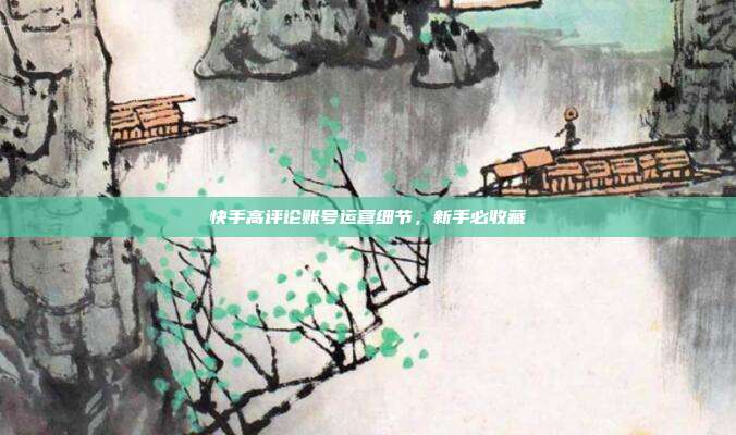 快手高评论账号运营细节,新手必收藏