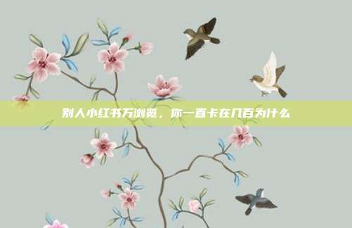别人小红书万浏览,你一直卡在几百为什么