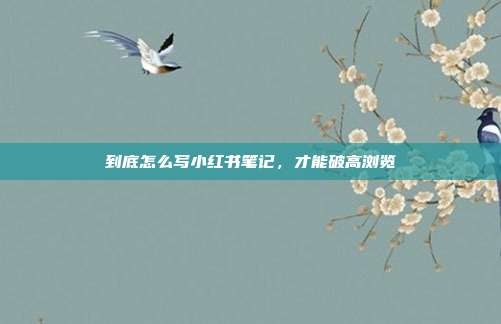到底怎么写小红书笔记，才能破高浏览