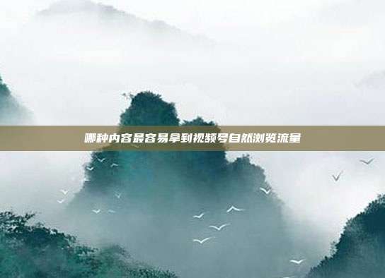 哪种内容最容易拿到视频号自然浏览流量