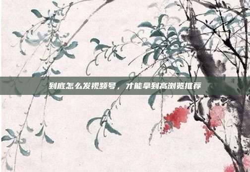 到底怎么发视频号,才能拿到高浏览推荐