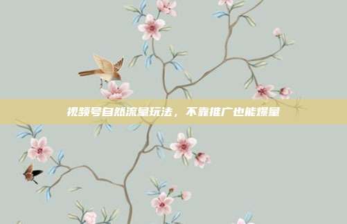 视频号自然流量玩法，不靠推广也能爆量