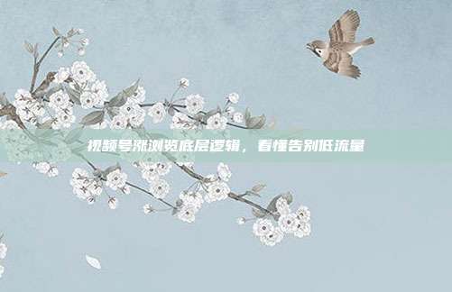 视频号涨浏览底层逻辑,看懂告别低流量