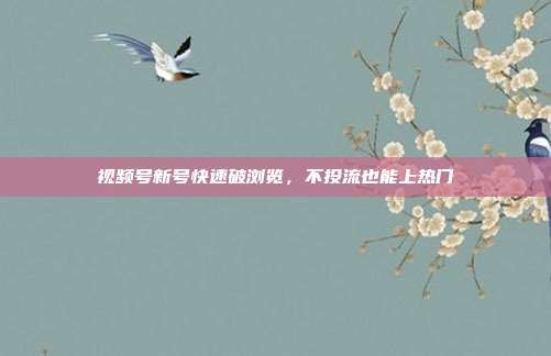 视频号新号快速破浏览，不投流也能上热门