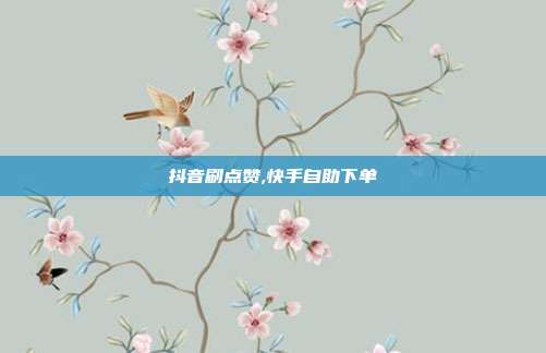 抖音刷点赞,快手自助下单
