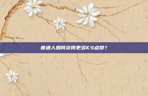 普通人如何获得更多KS点赞?