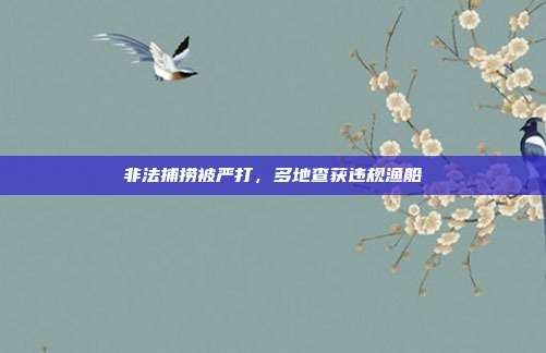 非法捕捞被严打，多地查获违规渔船