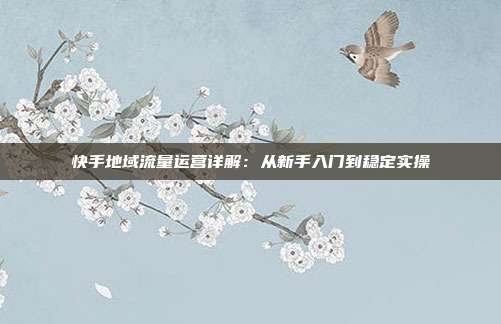 快手地域流量运营详解：从新手入门到稳定实操
