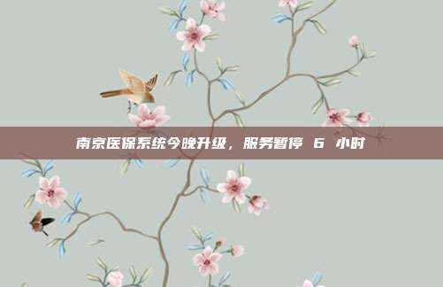 南京医保系统今晚升级，服务暂停 6 小时