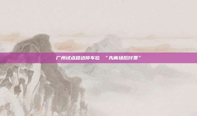 广州试点路边停车位 “先离场后付费”