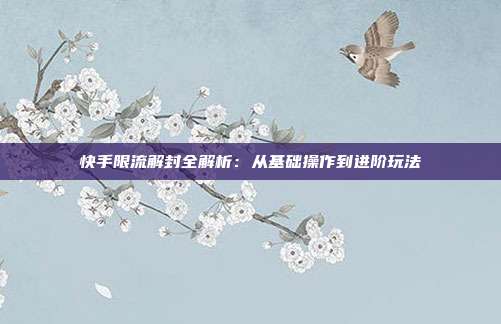 快手限流解封全解析：从基础操作到进阶玩法