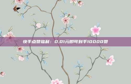 快手点赞福利：0.01元即可到手10000赞