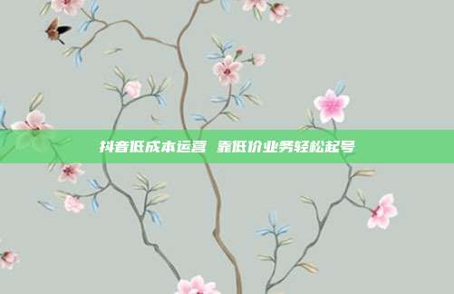 抖音低成本运营 靠低价业务轻松起号