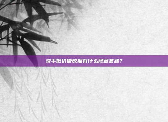 快手低价做数据有什么隐藏套路？