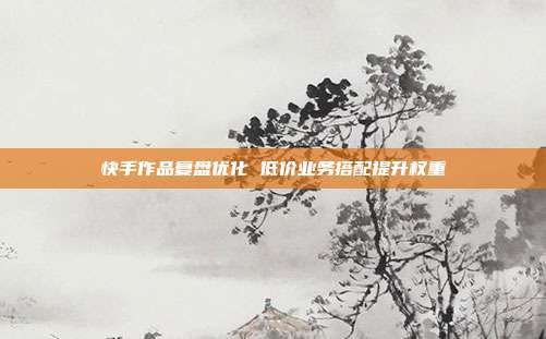 快手作品复盘优化 低价业务搭配提升权重