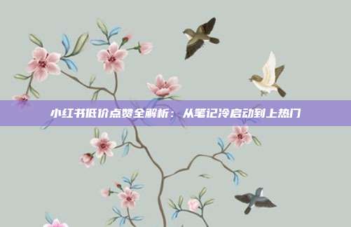小红书低价点赞全解析:从笔记冷启动到上热门