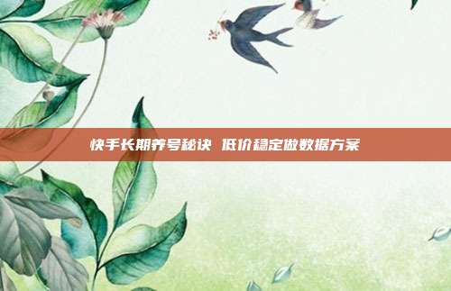 快手长期养号秘诀 低价稳定做数据方案