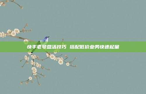 快手老号盘活技巧 搭配低价业务快速起量