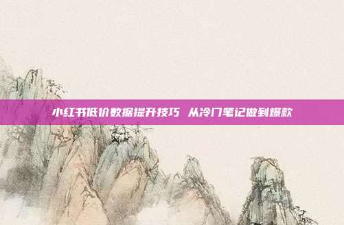 小红书低价数据提升技巧 从冷门笔记做到爆款