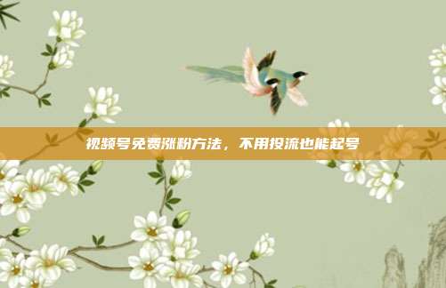 视频号免费涨粉方法，不用投流也能起号