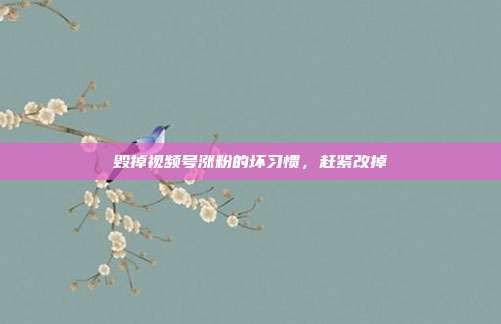 毁掉视频号涨粉的坏习惯,赶紧改掉