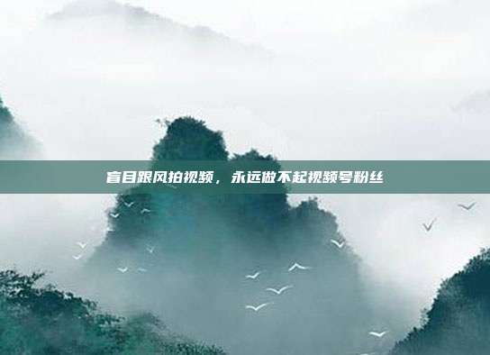 盲目跟风拍视频,永远做不起视频号粉丝