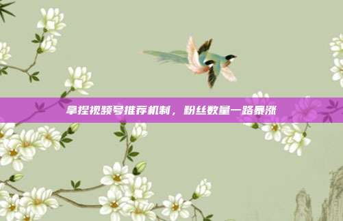 拿捏视频号推荐机制,粉丝数量一路暴涨