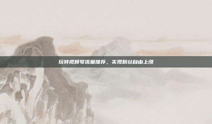 玩转视频号流量推荐，实现粉丝自由上涨