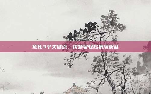 优化3个关键点,视频号轻松暴涨粉丝